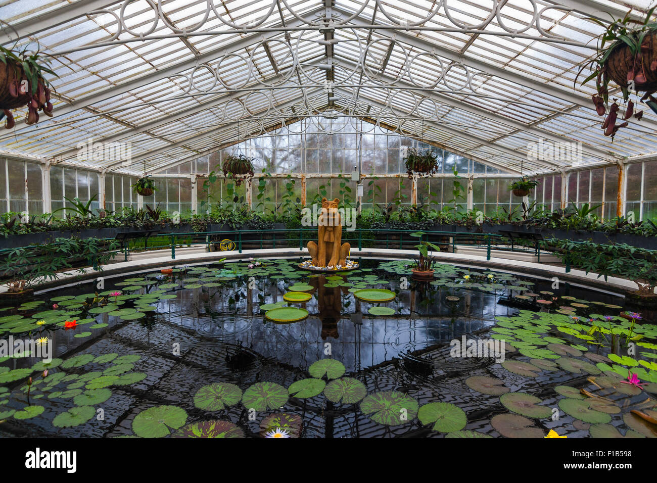 The Waterlily House at Royal Botanic Gardens, Kew, Richmond, London, Surrey, England, United Kingdom Stock Photo