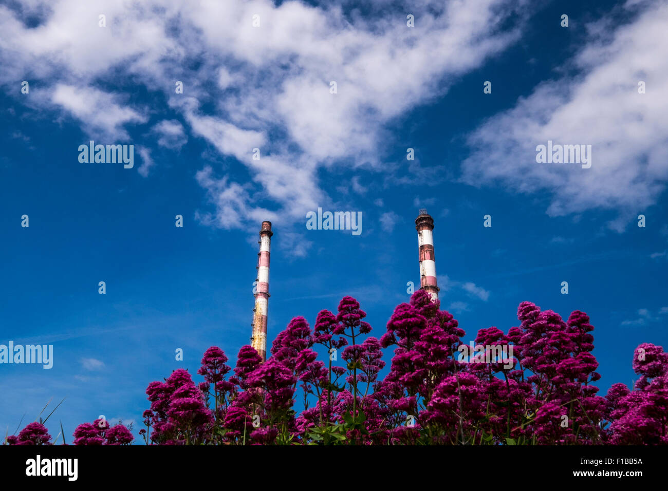 The twin chimney stacks of the Poolbeg electricity generating station on Dublins North Wall, Dublin, Ireland. Stock Photo