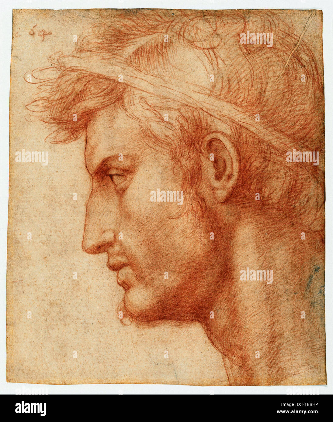 Andrea del Sarto - Study for the Head of Julius Caesar Stock Photo
