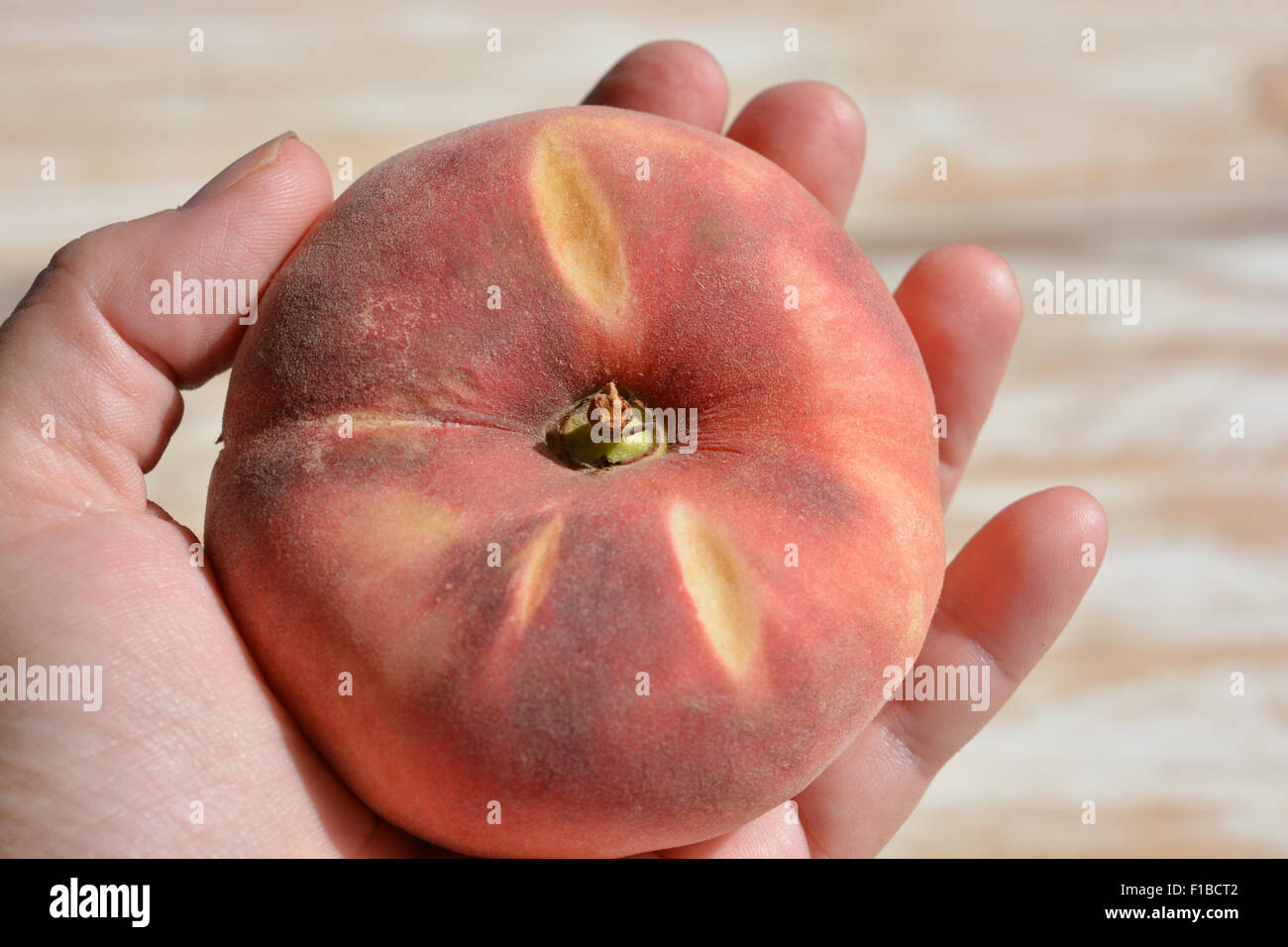 Paraguayo or Flat Peach, also known as Saturn Peach, Chinese Flat Peach,  Doughnut Peach, Donut Peach. Stock Photo