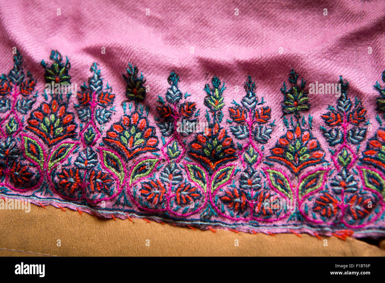 India, Jammu & Kashmir, Srinagar, hand embroiderered hand pashmina border pattern Stock Photo