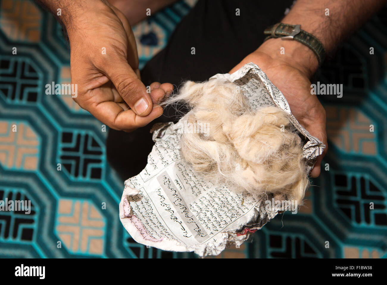 India, Jammu & Kashmir, Srinagar, hands holding unprocessed raw pashmina wool wrapped in Kashmiri language newspaper Stock Photo