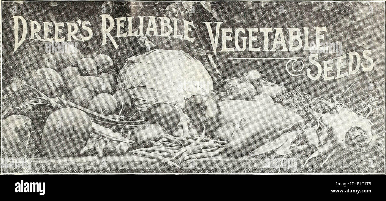 Dreer's wholesale price list : seeds for florists plants for florists bulbs for florists vegetable seeds, fungicides, fertilizers, implements, insecticides, sundries, etc Stock Photo
