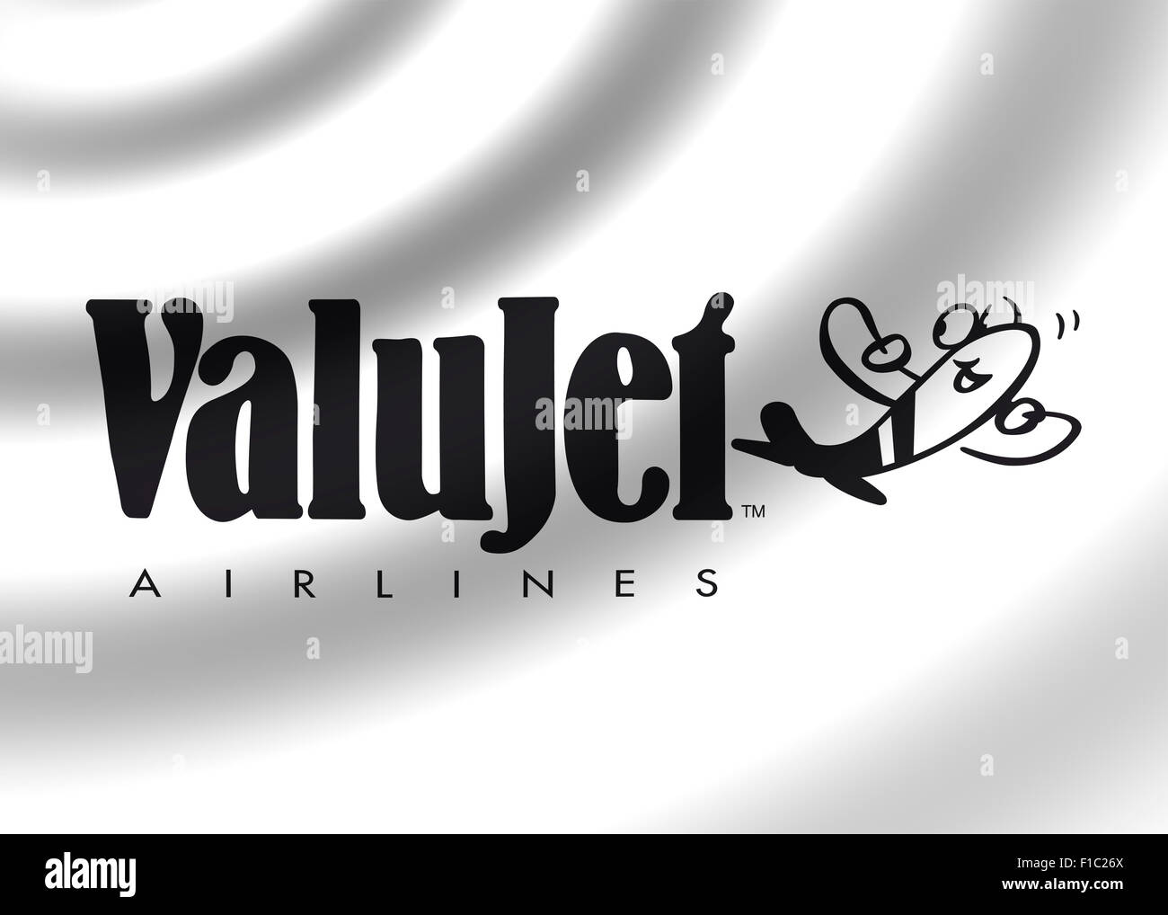 Valujet Airlines logo icon flag symbol emblem sign Stock Photo