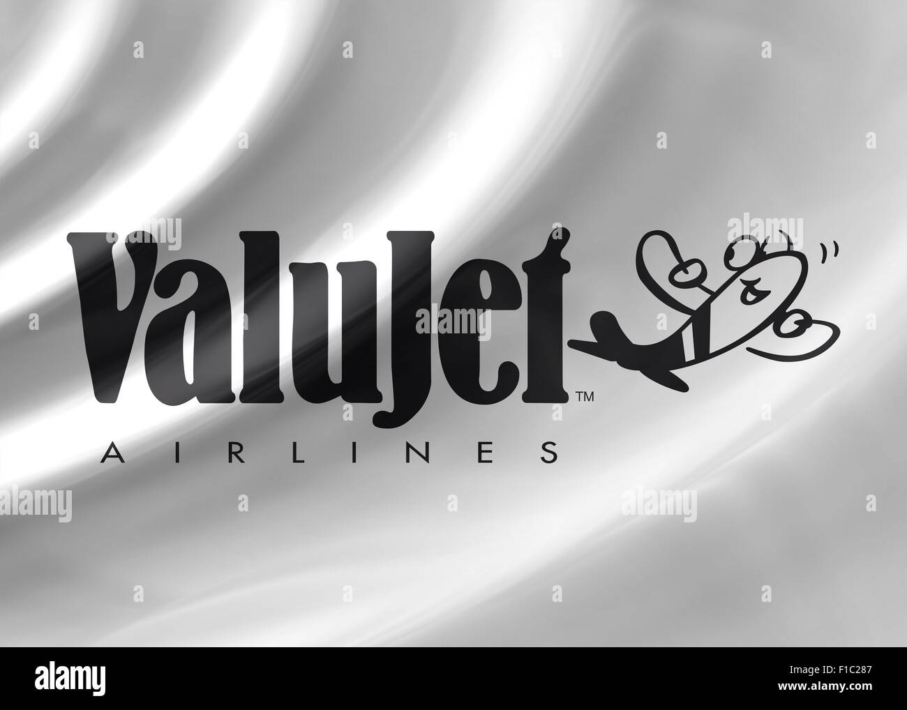 Valujet Airlines logo icon flag symbol emblem sign Stock Photo