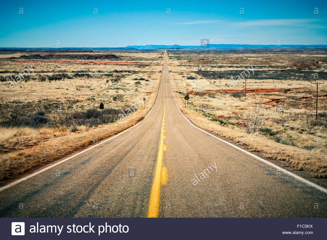 Long desert road stretching into the distance to the horizon Stock ...