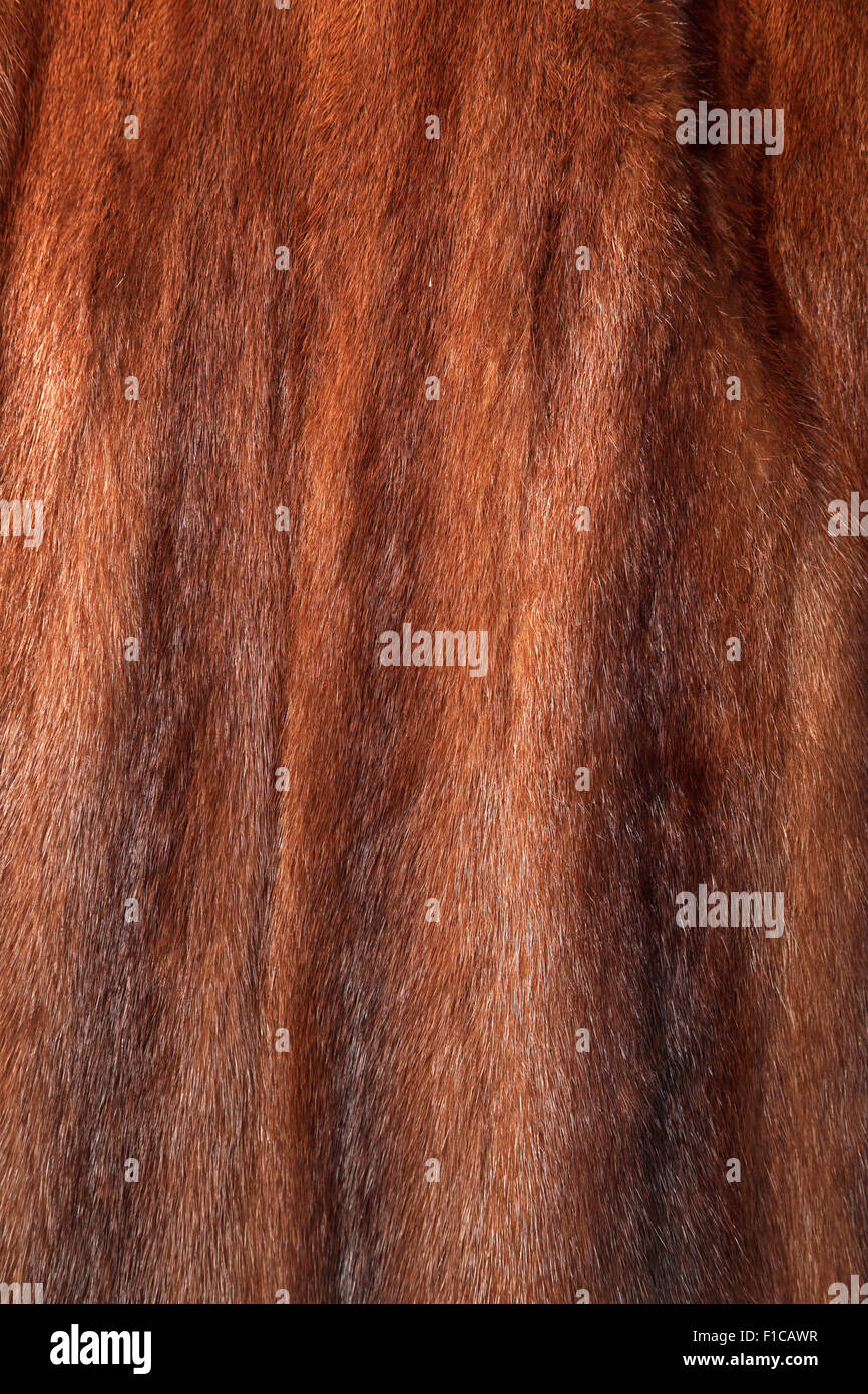 Brown mink coat used as fur texture or natural background Stock Photo