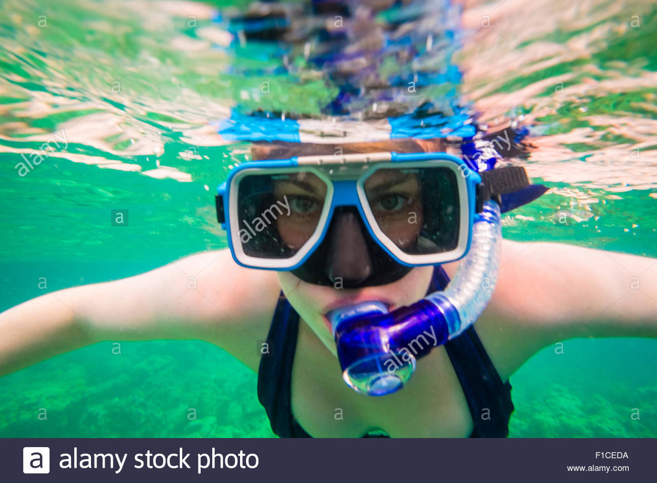 Download Page 2 Snorkel Mask High Resolution Stock Photography And Images Alamy Yellowimages Mockups