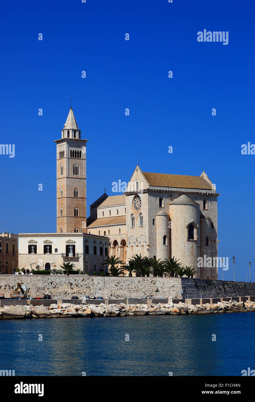 the cathedrale San Nicola Pellegrino, Sankt Nikolaus, Trani, Apulia, Italy Stock Photo