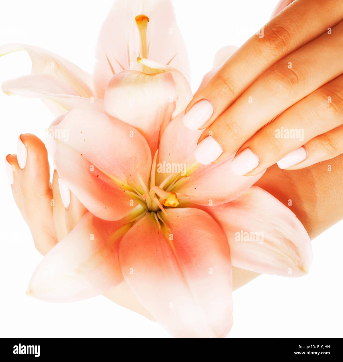 beauty delicate hands with manicure holding flower lily close up isolated Stock Photo