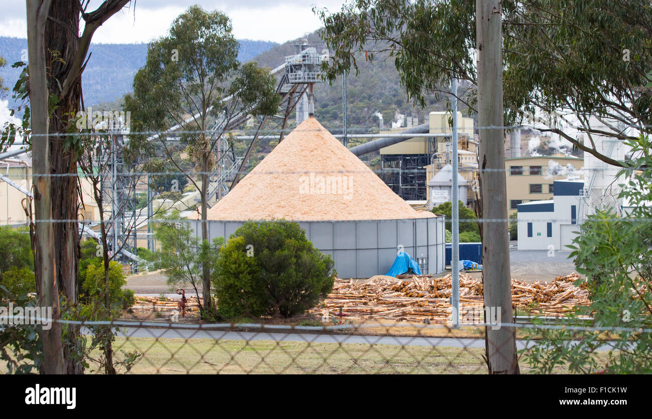 Wood pulp mill processing timber in wood chips in Tasmania, Australia