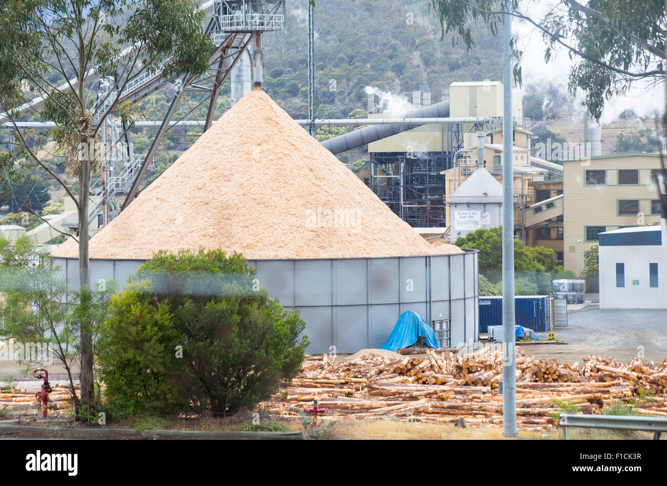 Wood pulp mill processing timber in wood chips in Tasmania, Australia