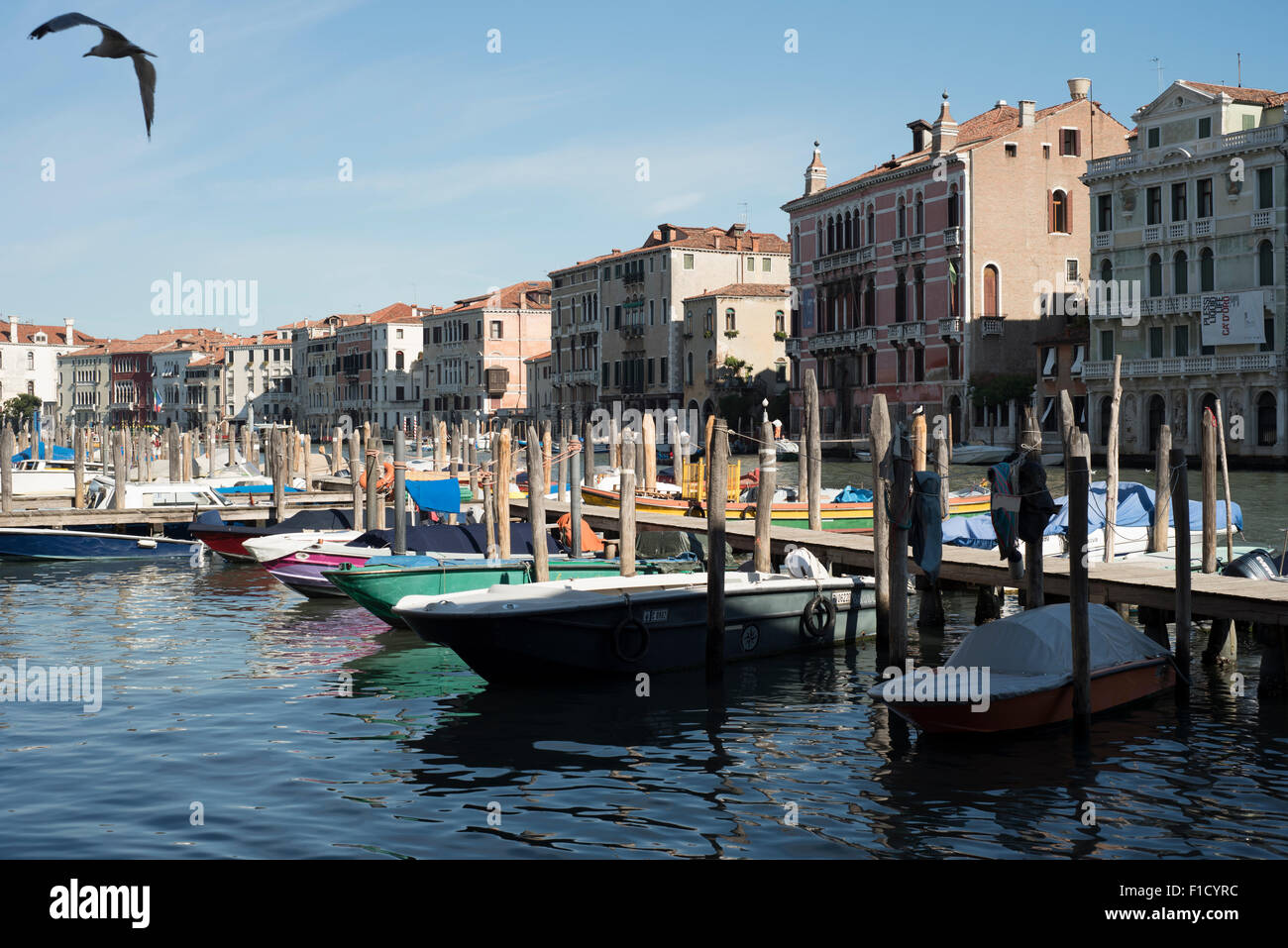 Fondamenta Riva Olla, Grand Canal, Venice, Italy, Europe, EU Stock Photo