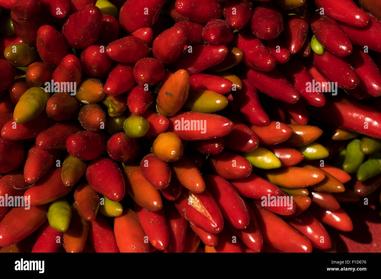 Fresh Chilies, Hot, Red Stock Photo