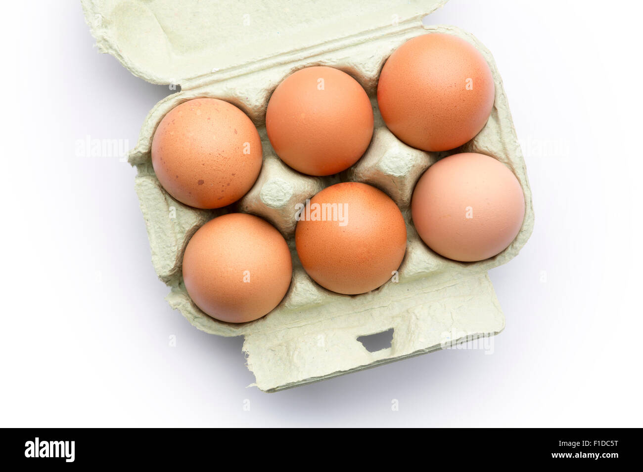 Six brown eggs in a carton isolated on a white background Stock Photo