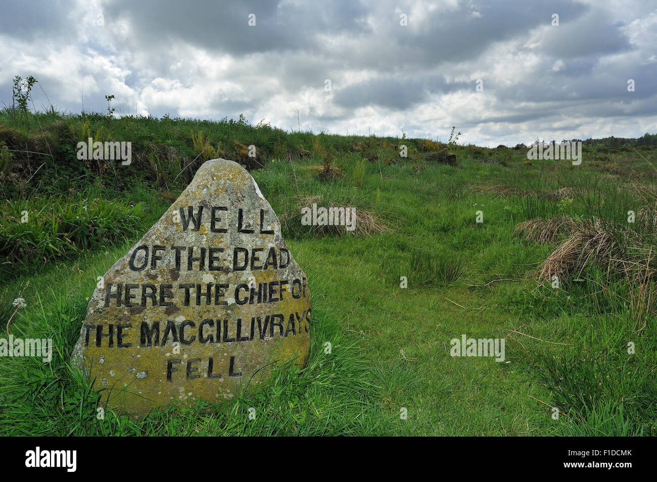 Headstone that marks where the MacGillivray chief fell at the Culloden battlefield, Scotland, UK Stock Photo