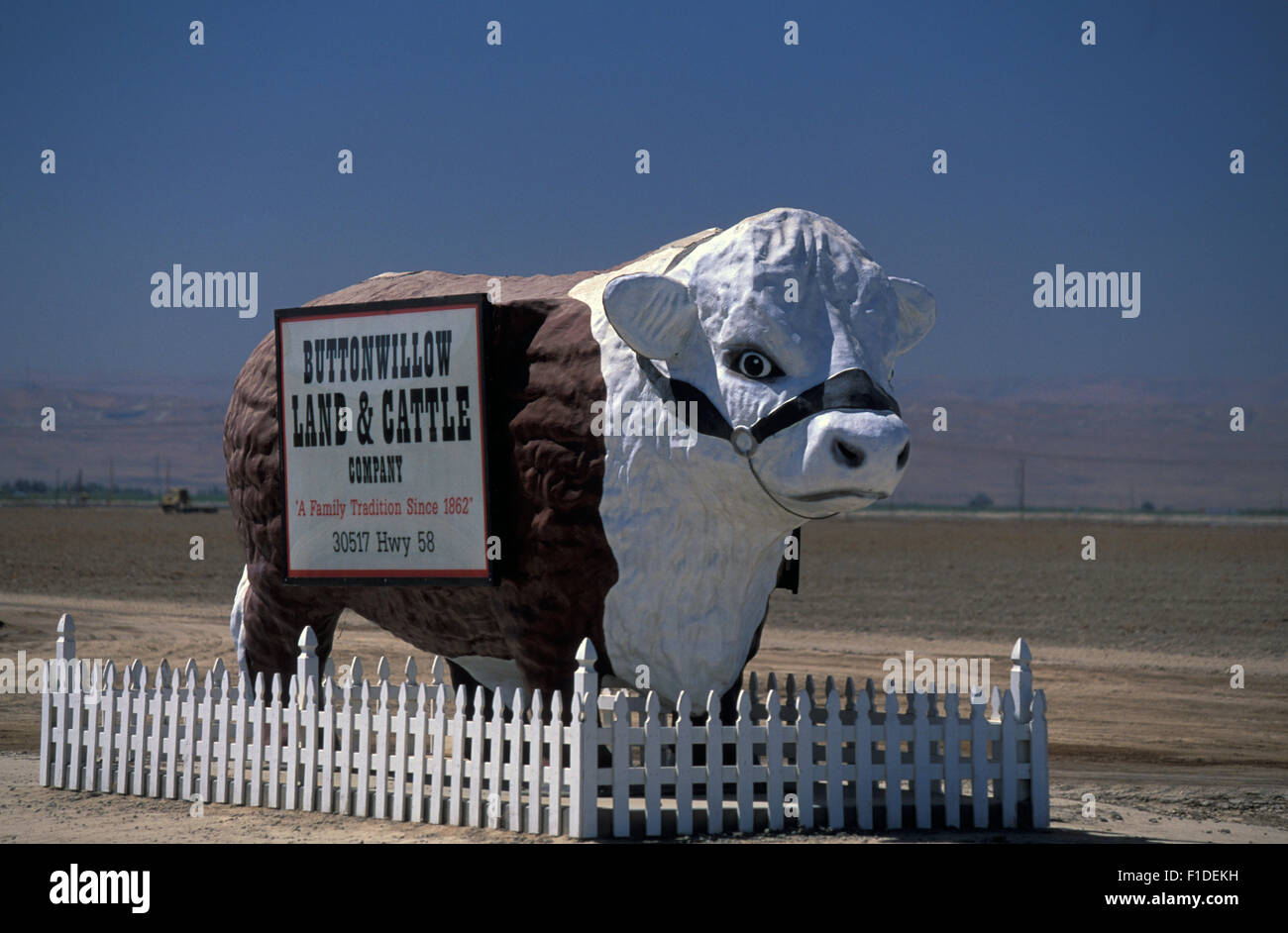 Buttonwillow Land & Cattle Company with the giant Steer outside a Cattle ranch in California