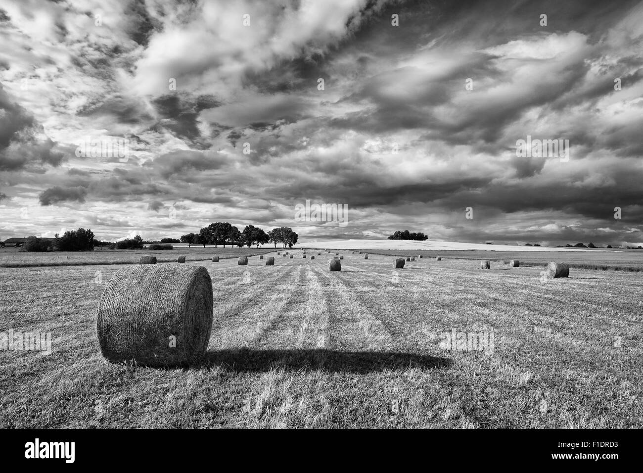 Harvest time and summer landscape after a storm Stock Photo - Alamy
