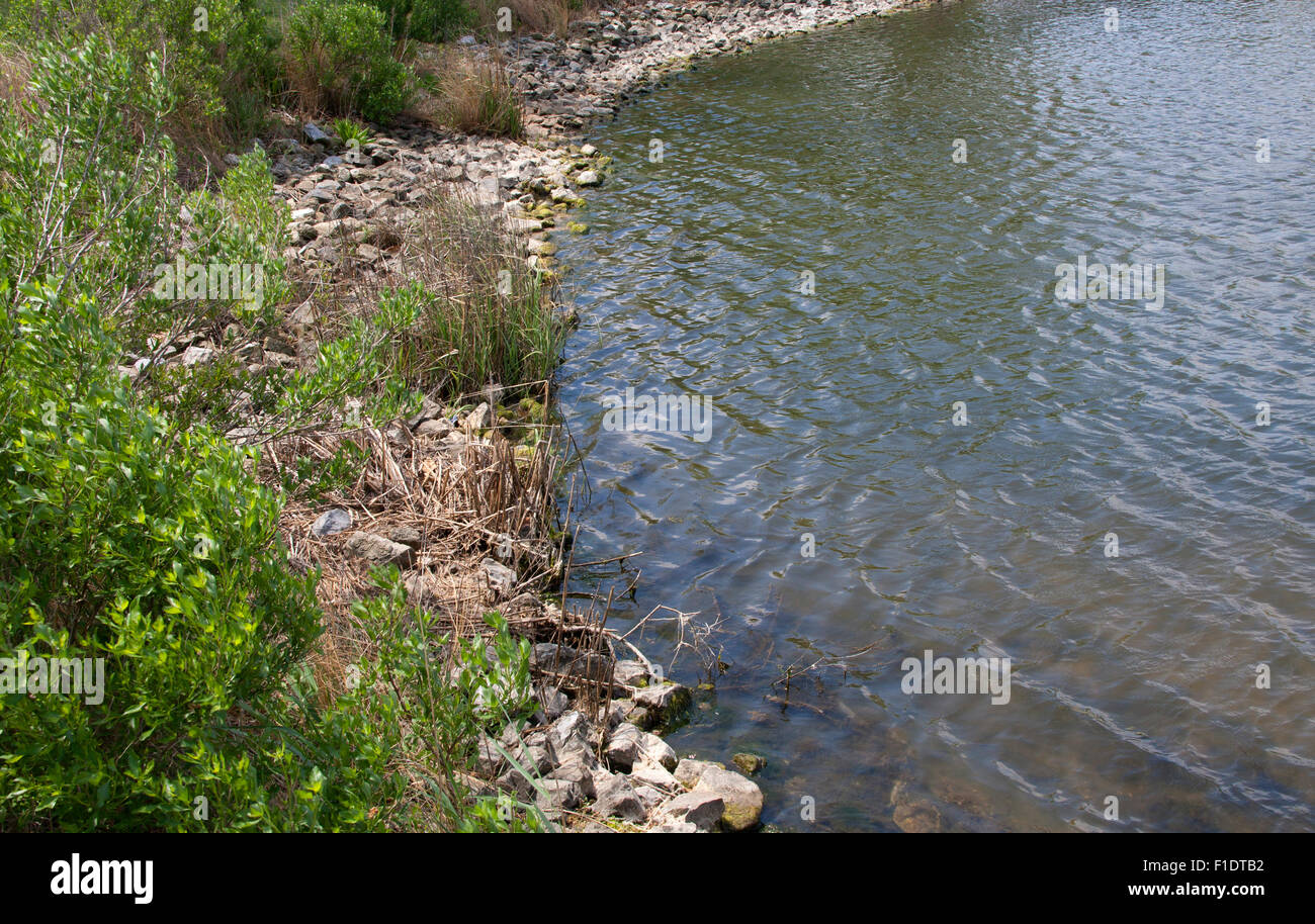 Ocean City, MD – May 13, 2015: The calm edge of a small inlet in Northside Park in Ocean City, Maryland. Stock Photo