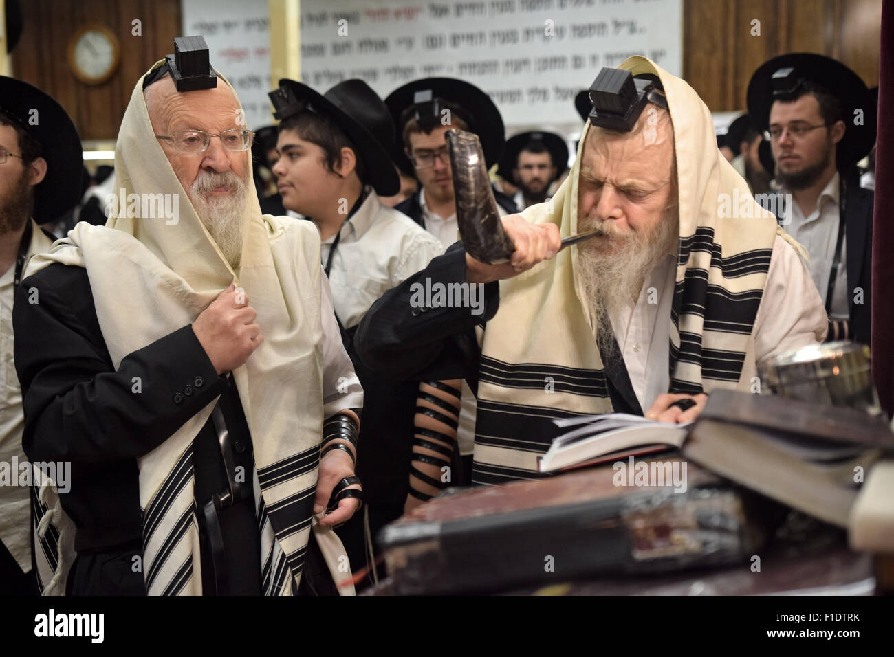 A very religious Jewish Rabbi blowing a shofar - ram's horn - at morning services before the New Year. In Brooklyn, New York Stock Photo - Alamy