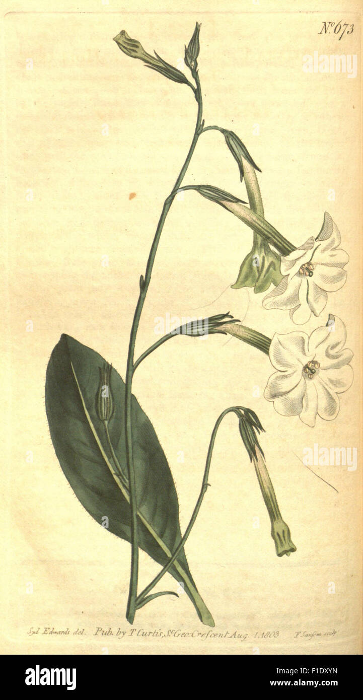 Curtis's Botanical Magazine is a renowned periodical featuring detailed ...
