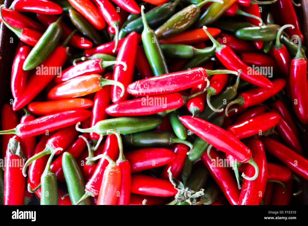 Red & green hot fresh peppers Stock Photo