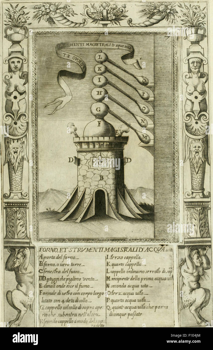 This 1624 work, *Dell'Elixir Vit*, explores medicinal and alchemical ...