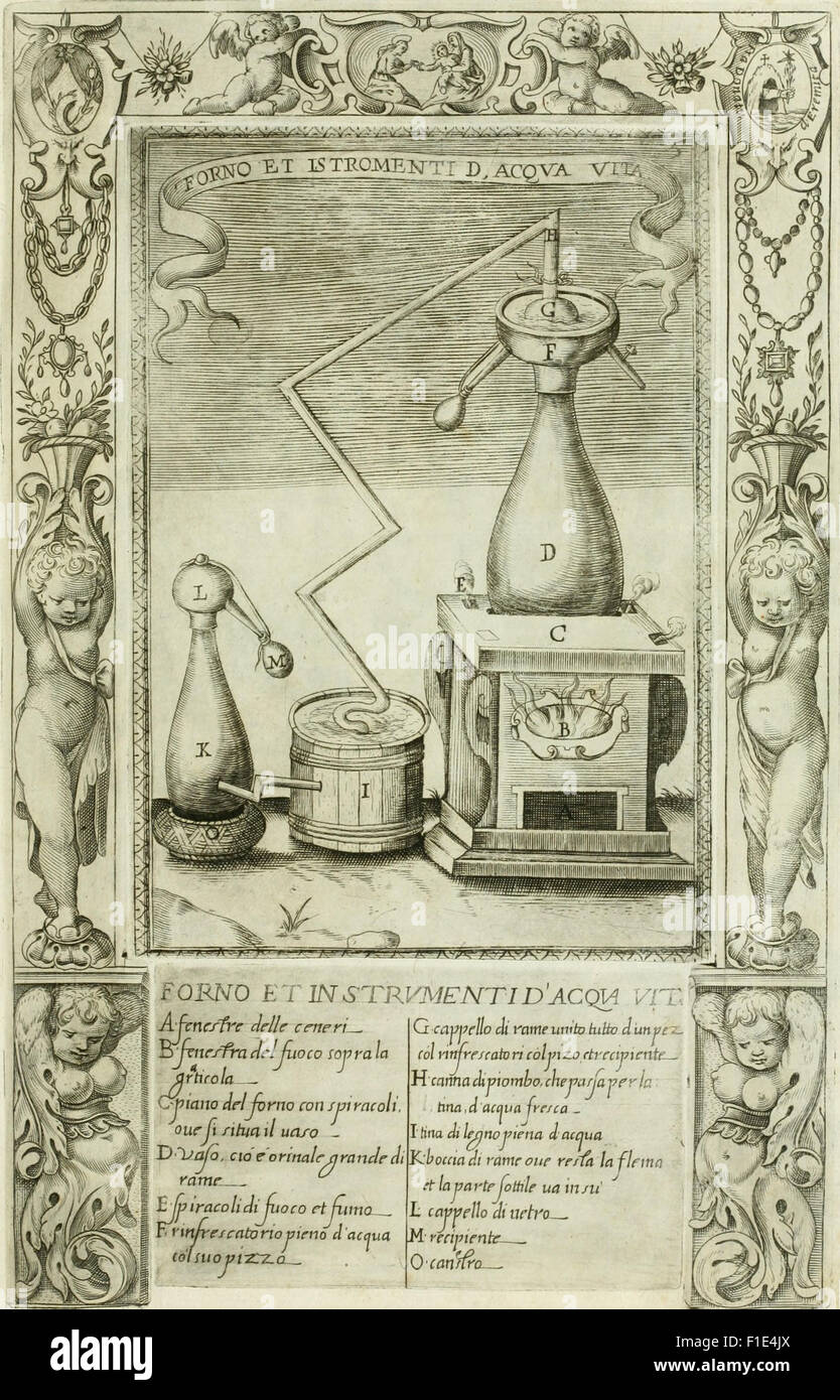 The 1624 publication 'Dell'elixir vit' explores the preparation and ...