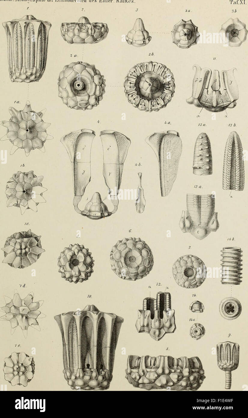 This 1867 volume from the Austrian Academy of Sciences features ...