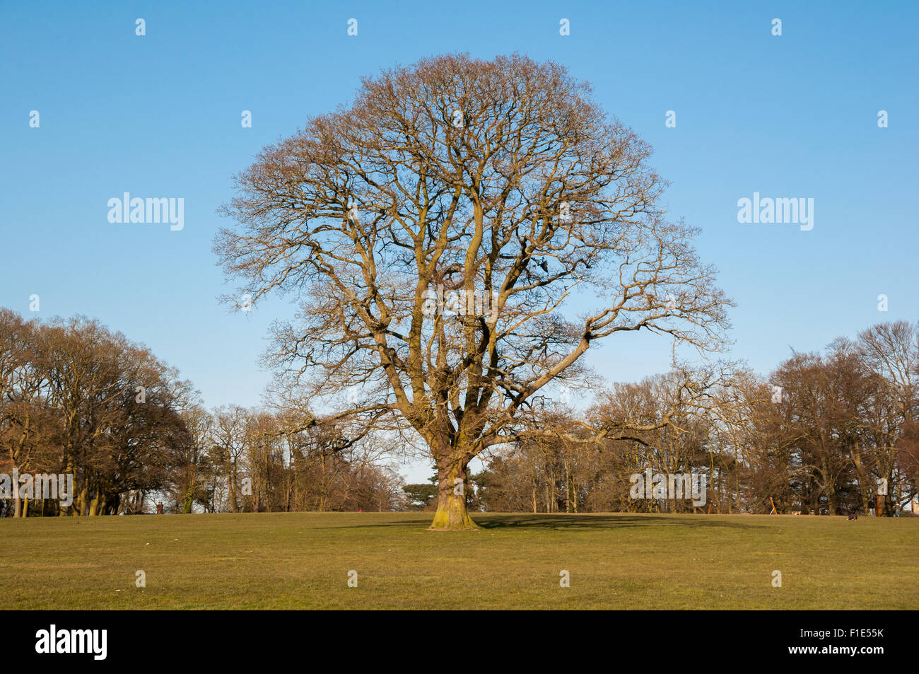 Lonely standing hi-res stock photography and images - Alamy