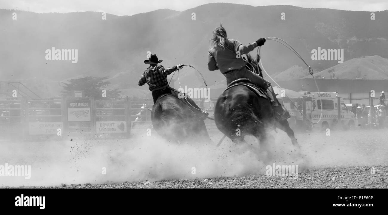 Rodeo hires stock photography and images Alamy