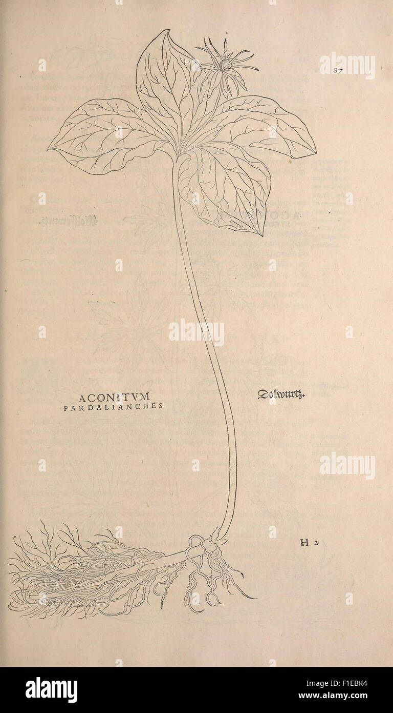 This botanical work, first published in the early 16th century ...