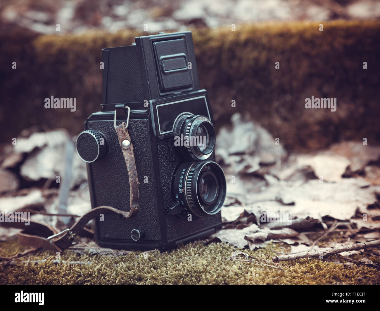 Vintage stylized photo of retro film camera on old stairs covered with leaves and moss Stock Photo