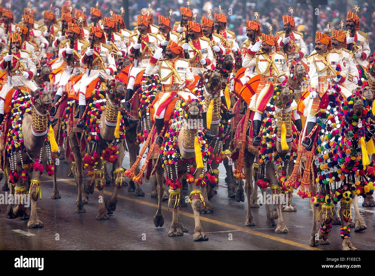 Indian Frontier Forces parade on camel during the Republic Day Parade January 26, 2015 in New Delhi, India. Stock Photo