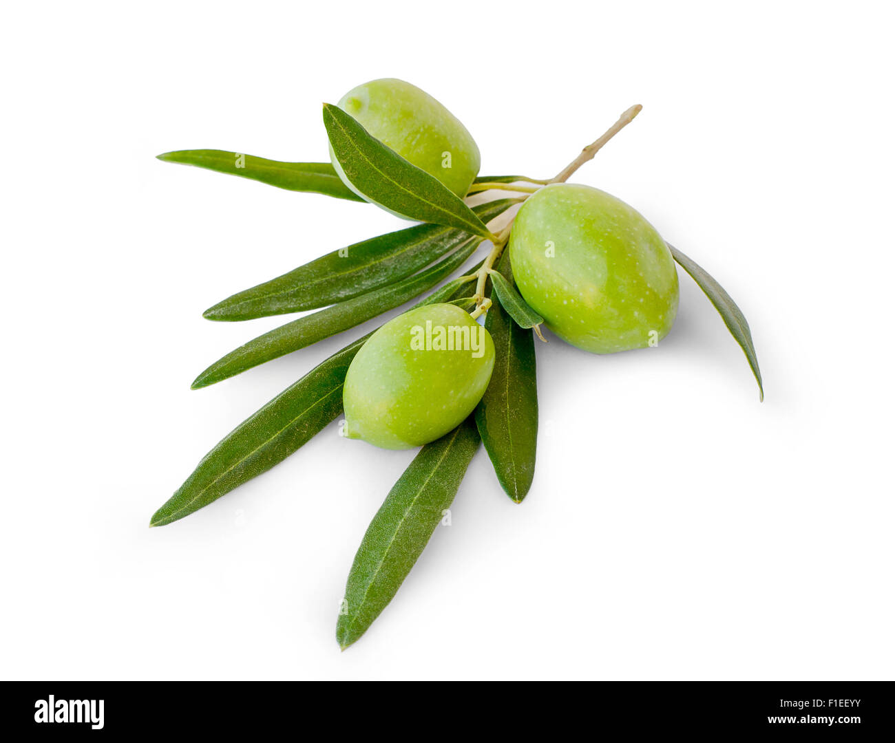 Olives On White Stock Photo - Download Image Now - Olive - Fruit