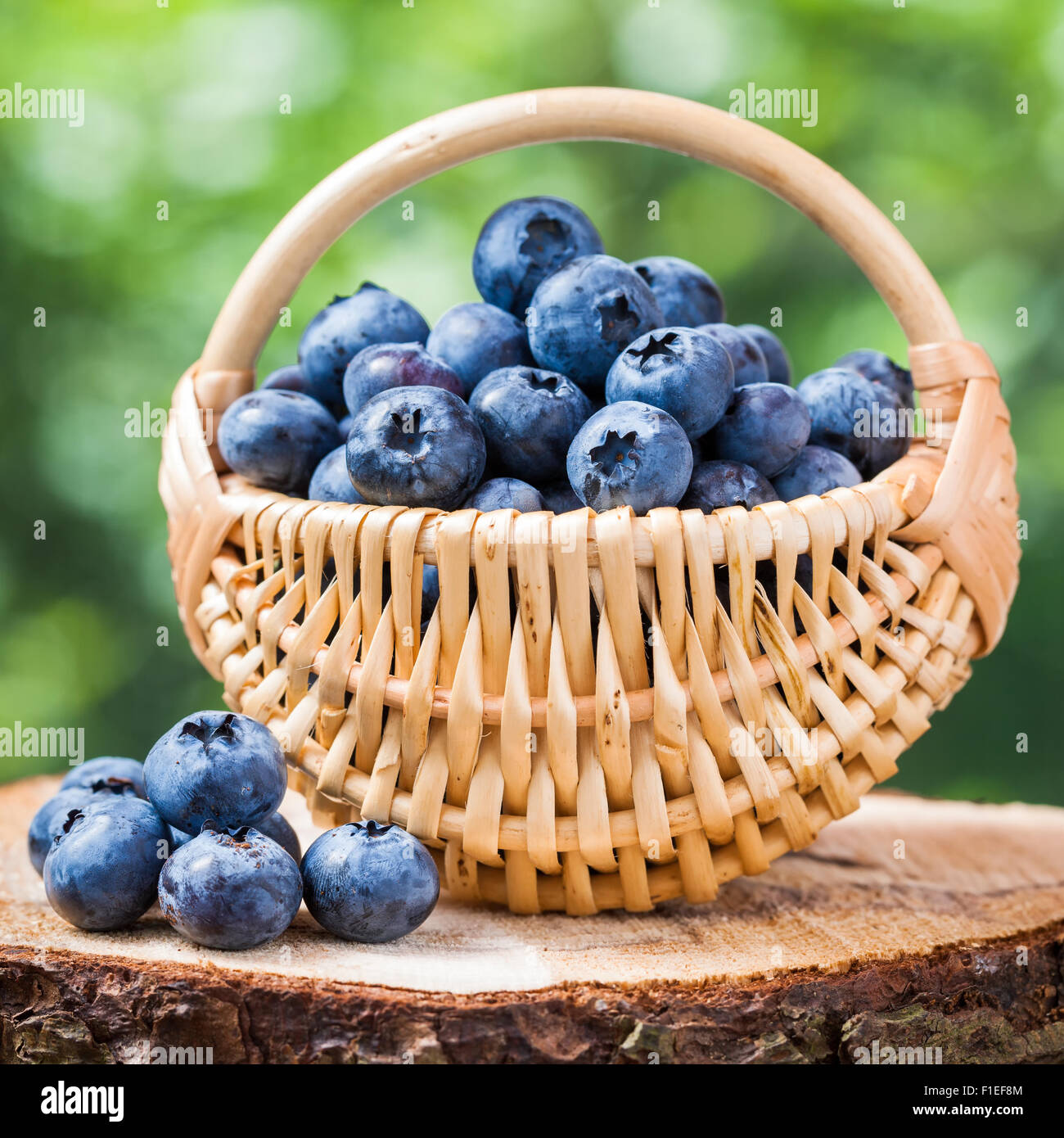 Basket with fresh blueberries on stump Stock Photo