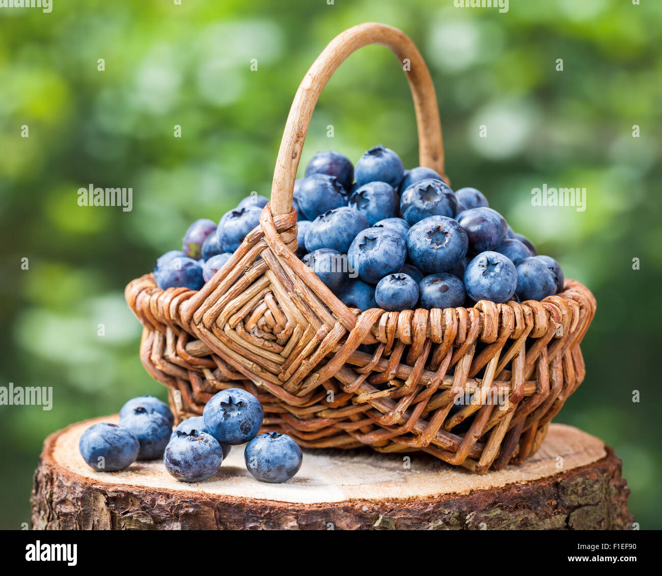 Basket with ripe blueberries on stump Stock Photo