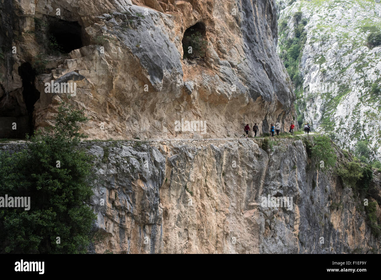 Walkers on the trail through the Cares Gorge near Poncebos in the Picos de Europa national park Stock Photo