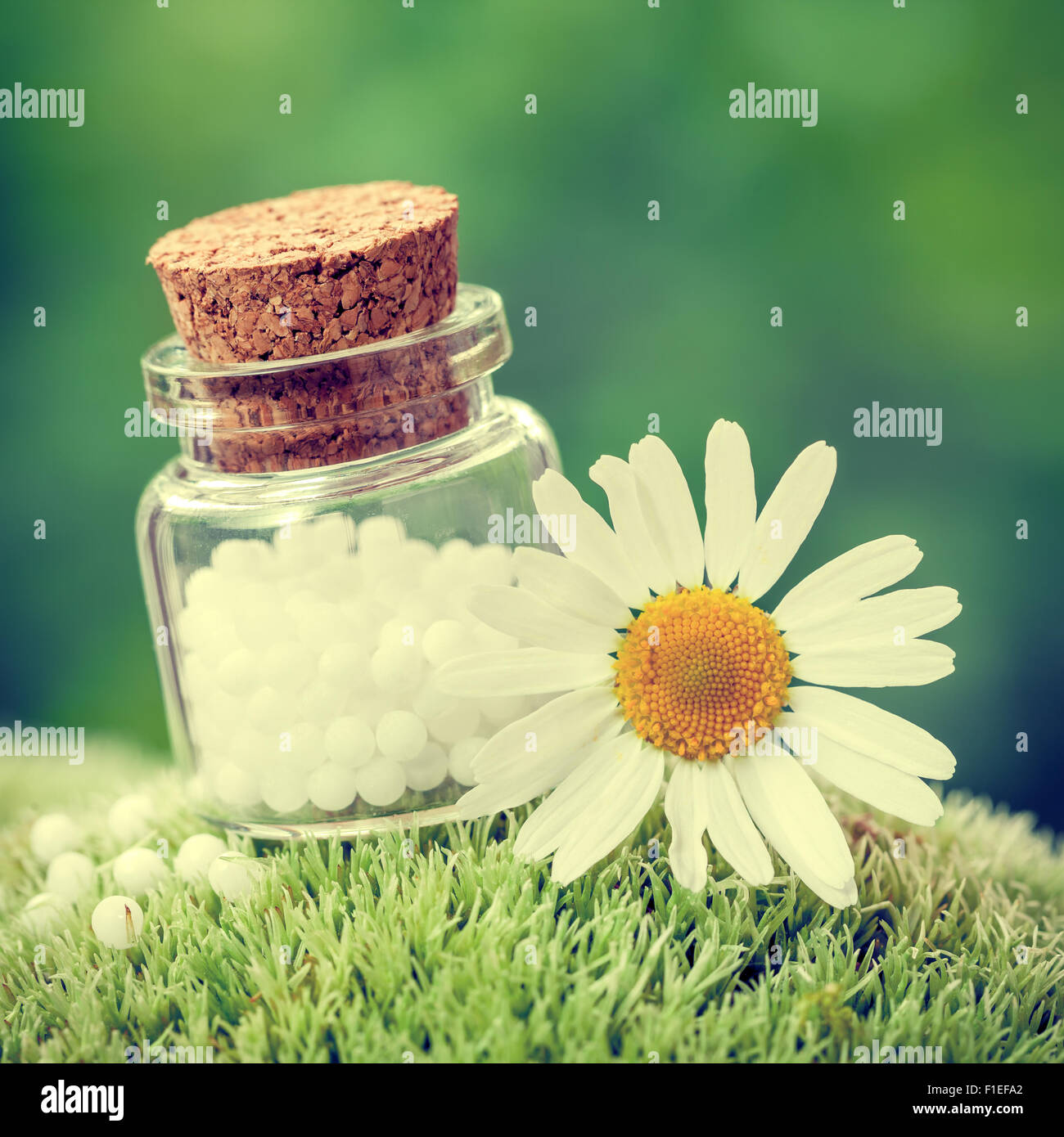 Bottle of homeopathy globules and daisy flower on green moss. Retro styled. Stock Photo