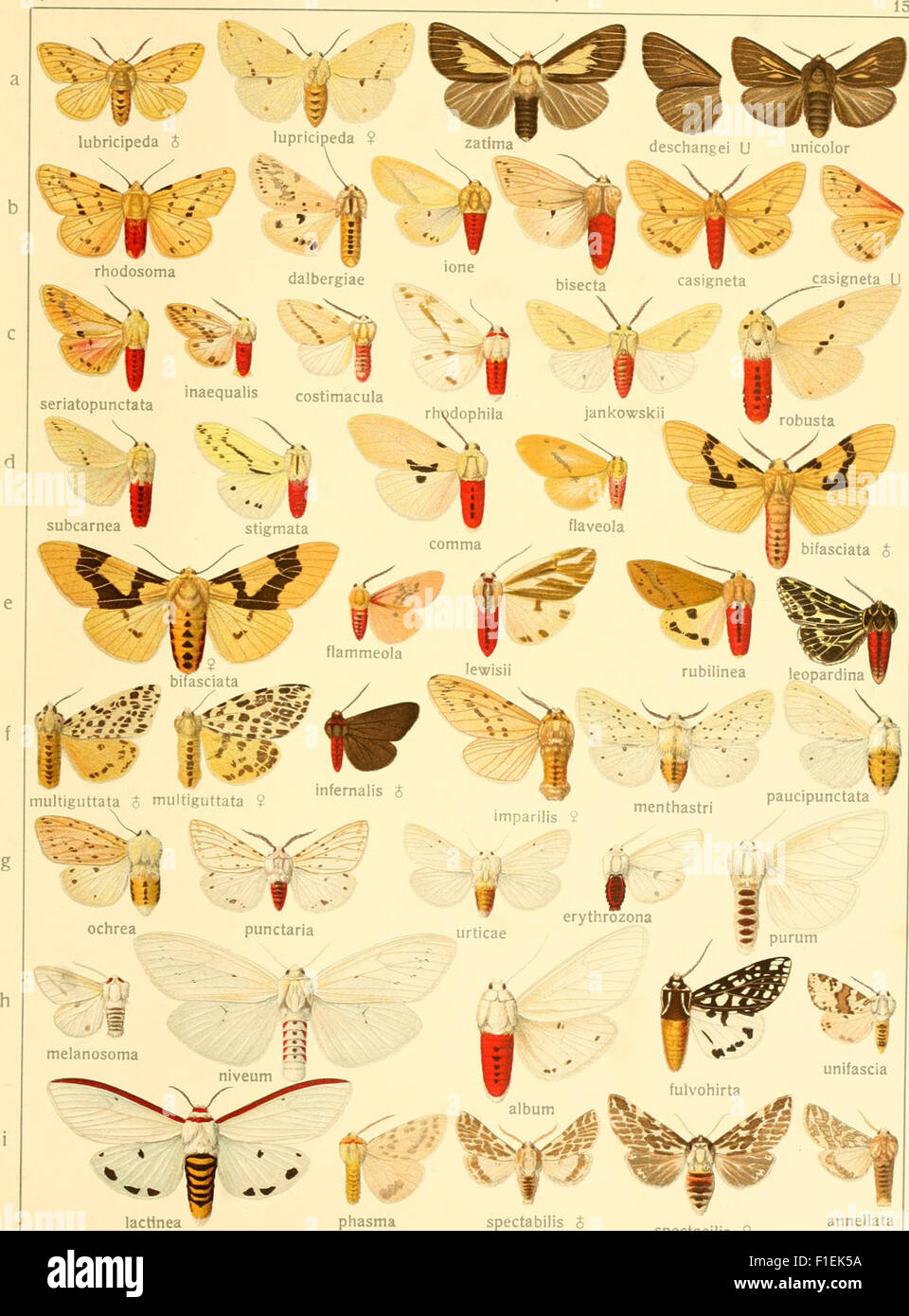 This work from 1900 provides a systematic study of the world's largest ...