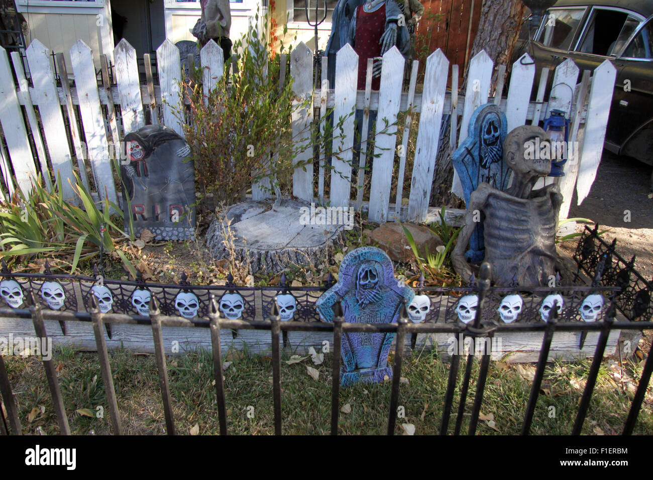 Skeleton fence hires stock photography and images Alamy