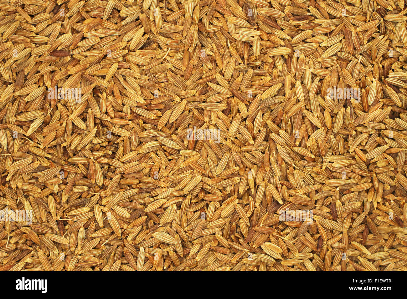 Cumin seeds background Stock Photo Alamy