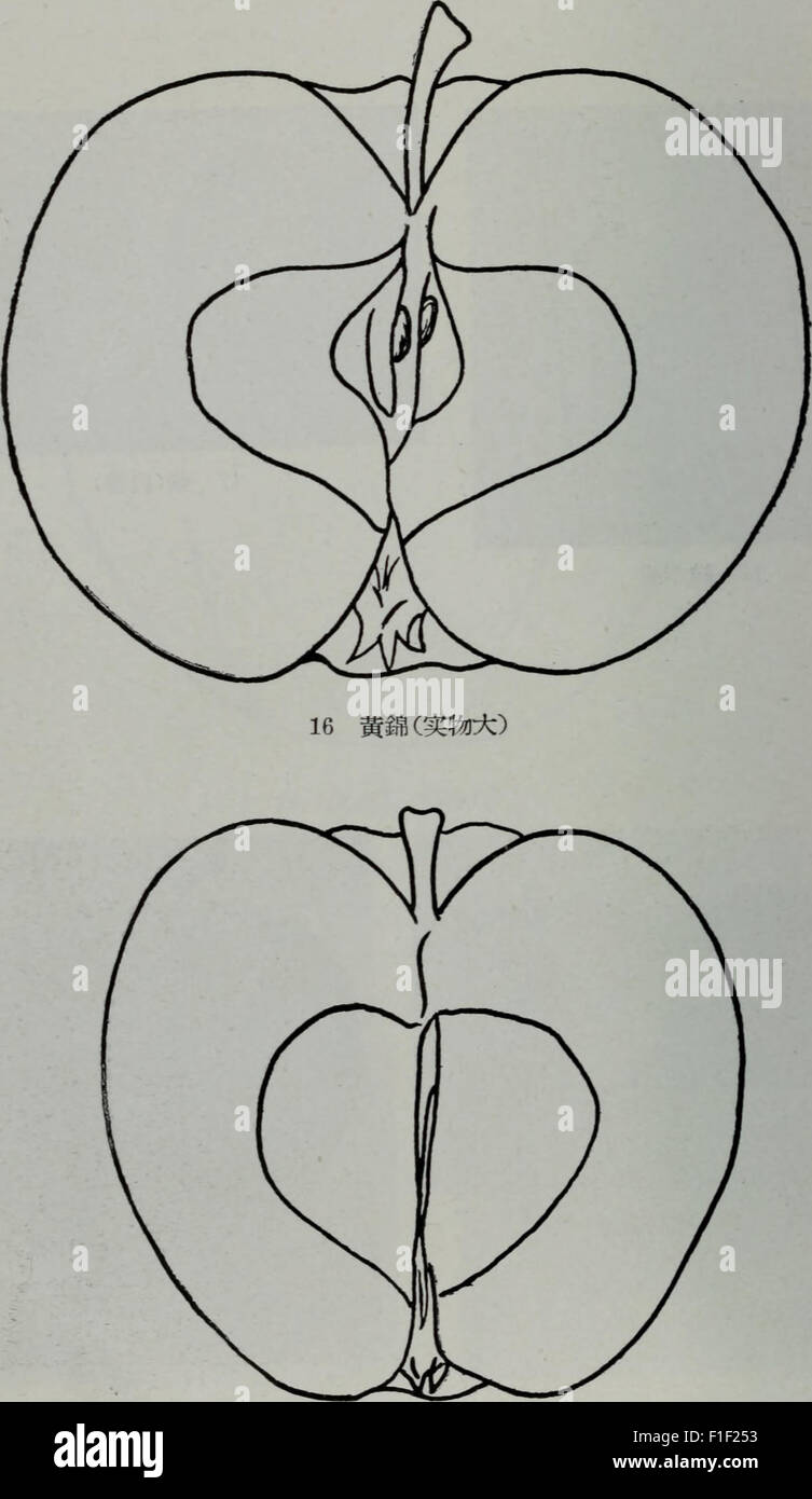 *Dong bei ping guo pin zhong jie shuo* (1957) is a Chinese work ...