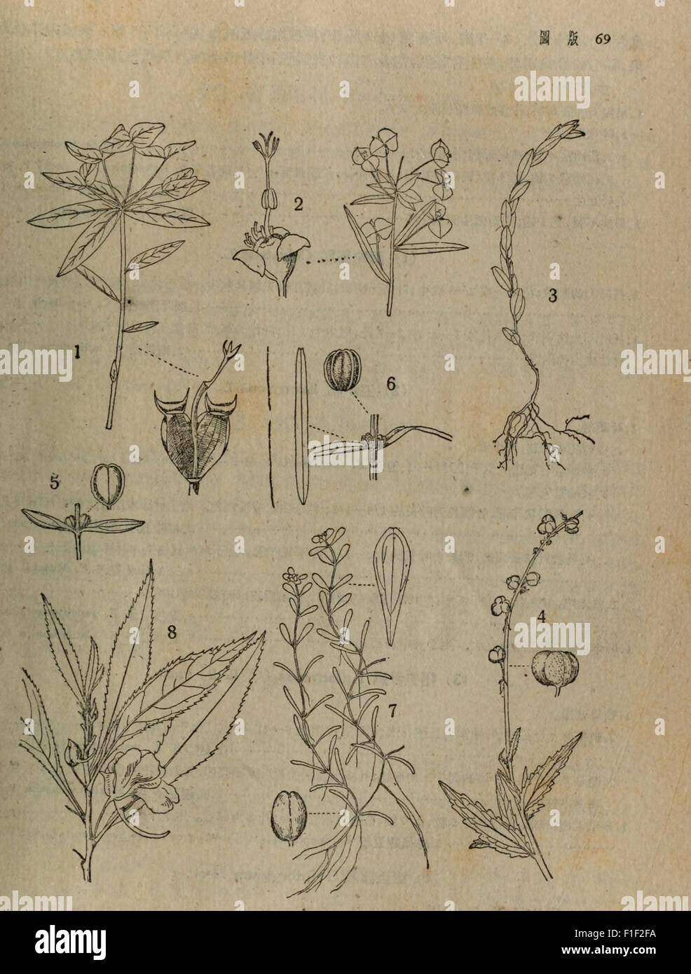 This Chinese botanical catalog from 1959 provides a detailed record of