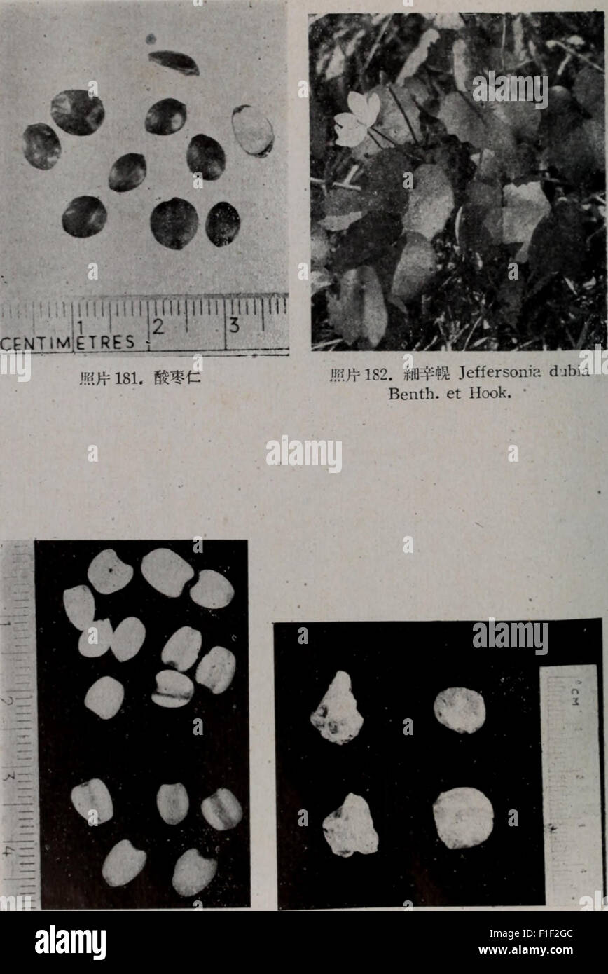 Dong bei zhi wu yao tu zhi (1959 Stock Photo Alamy