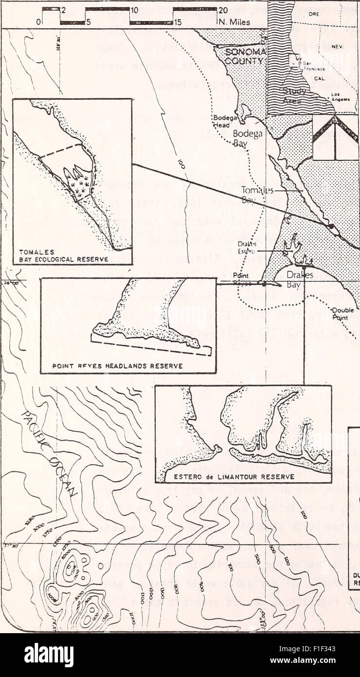 Draft environmental impact statement prepared on the proposed Point ...
