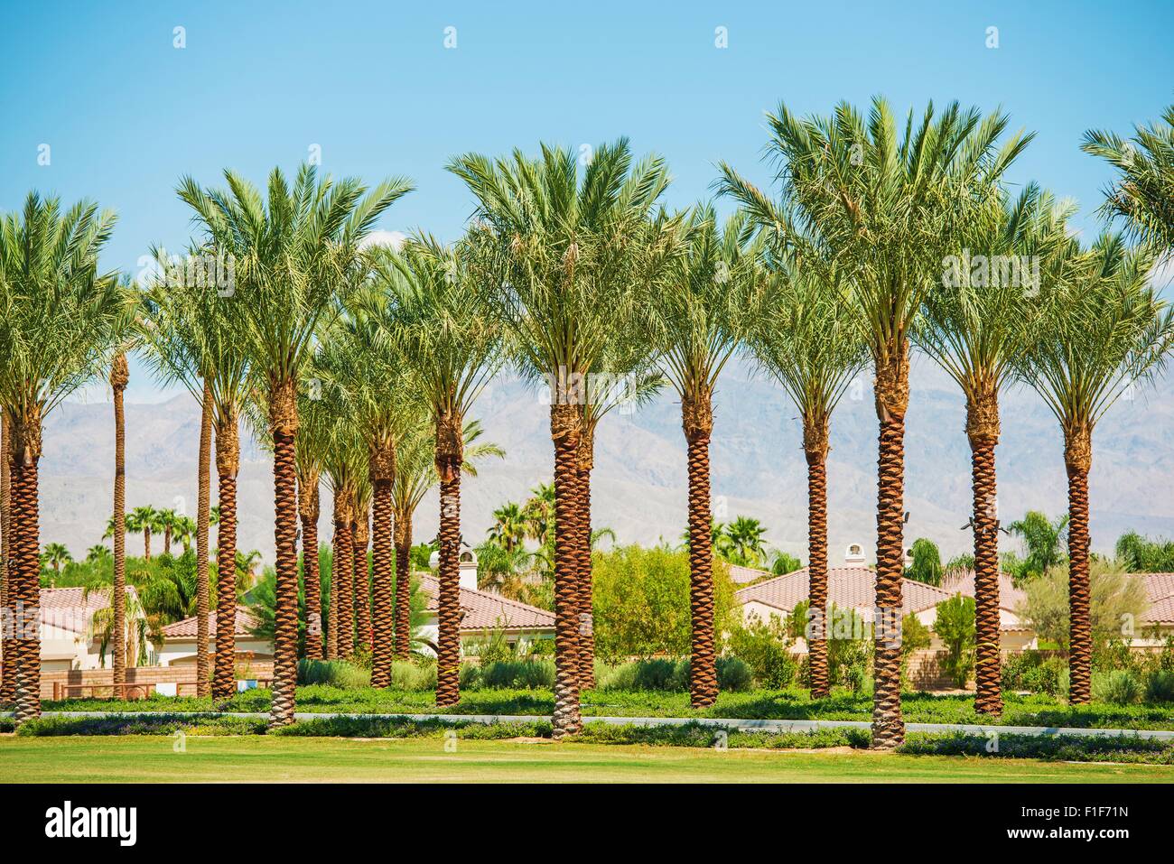 Indian Wells California USA. Residential Area and the Palm Trees. Stock Photo