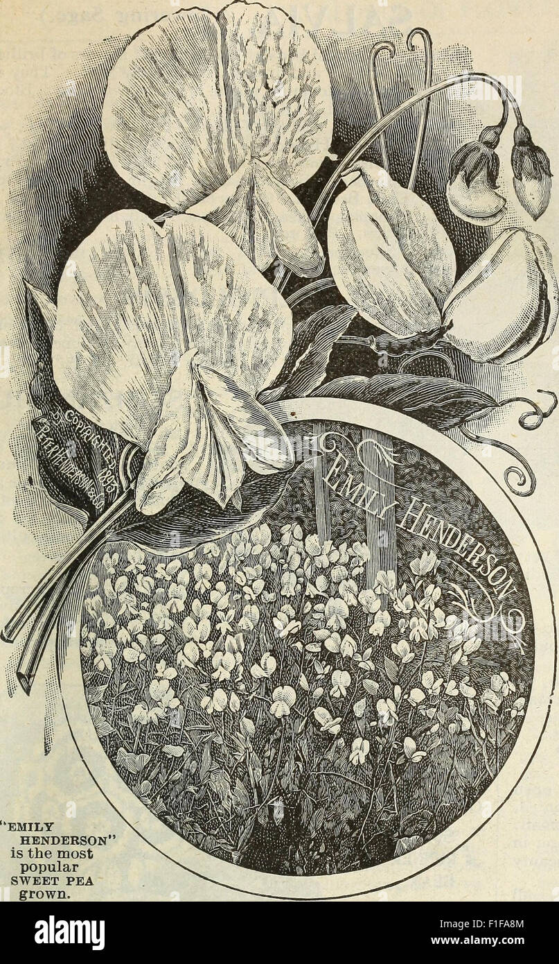 'Garden Flower and Field Seeds' (1902) offers a catalog of various