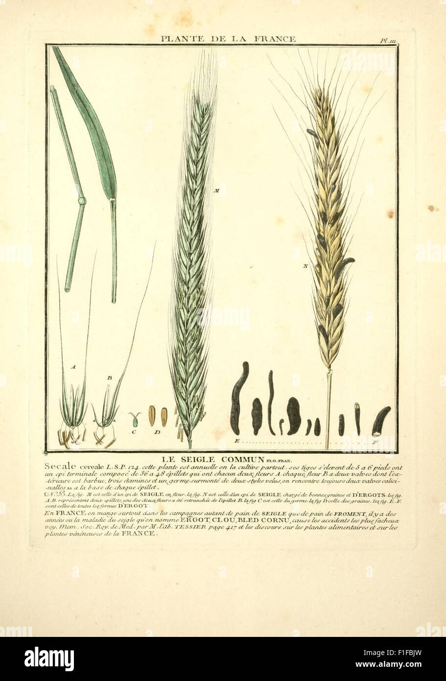 Herbier de la France Stock Photo Alamy