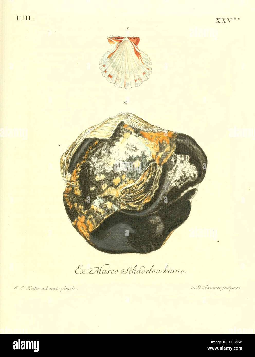 This illustration from 'Les délices des yeux et de l'esprit' depicts ...